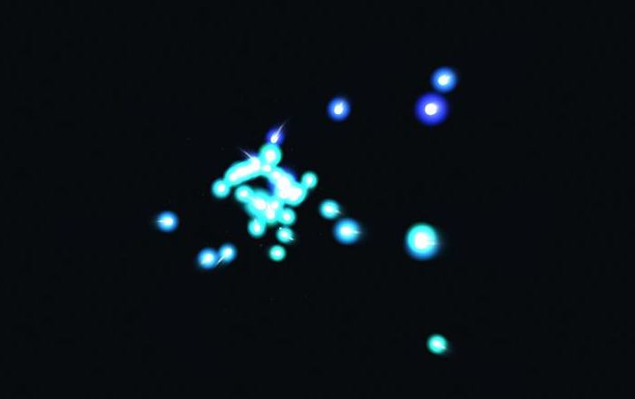Replicator Void mid-run: a cluster of glowing cyan organisms drifting on black, a few blue ones straying further out.